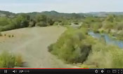 Flying from river gravel bar