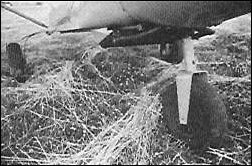 STOL CH 701 (Sport Pilot photo)