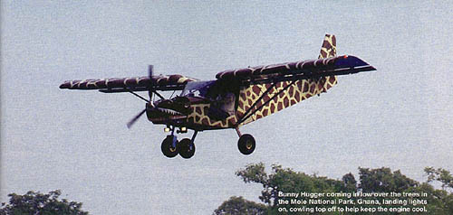 STOL CH 701 'Bunny Hugger'