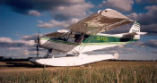 z-amph.jpg (28858 bytes)