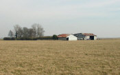 onthefarm.jpg (56559 bytes)