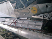 extension ladder