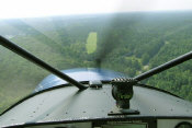 aerial view of John Brooker's grass runway cut out of a Geargia pine forest