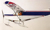 Canadian STOL CH701 with snow skis