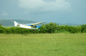 Landing in tall grass...