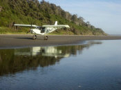 STOL CH 701 on the beach