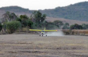 STOL CH 701 in Mexico