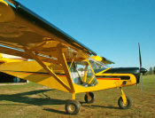 STOL CH 701