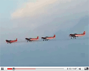 Zodiac Squadron